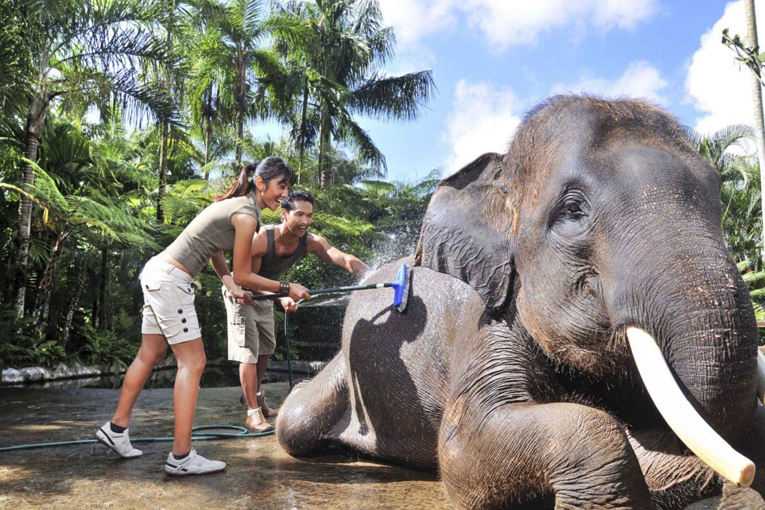 Слоны на Бали