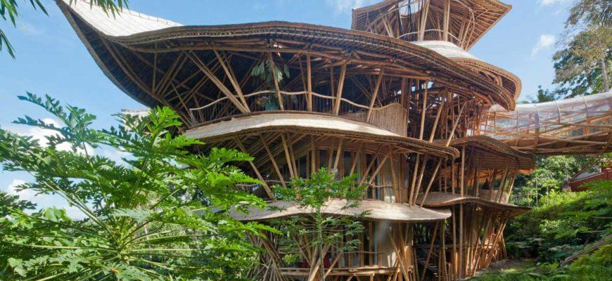 Бали и джунгли: выбираем отели для полного уединения