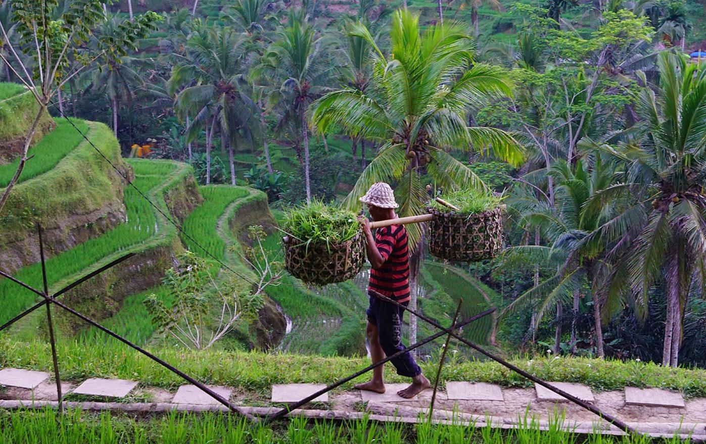 Фото работающего фермера