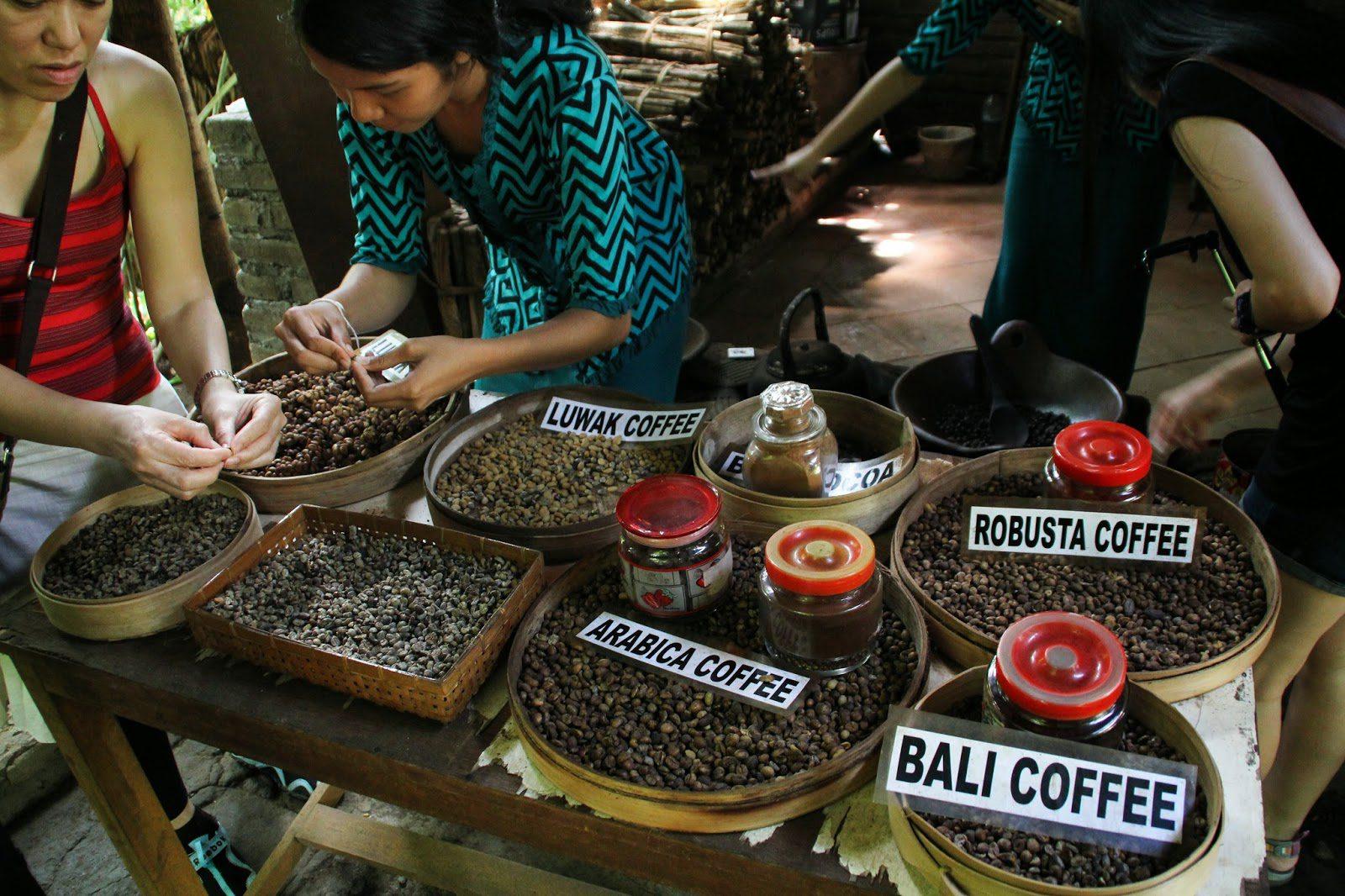 Магазины на бали. Кофе Бали Исланд. Кофейные плантации Бали. Кофе на Бали. Кофейни на Бали.