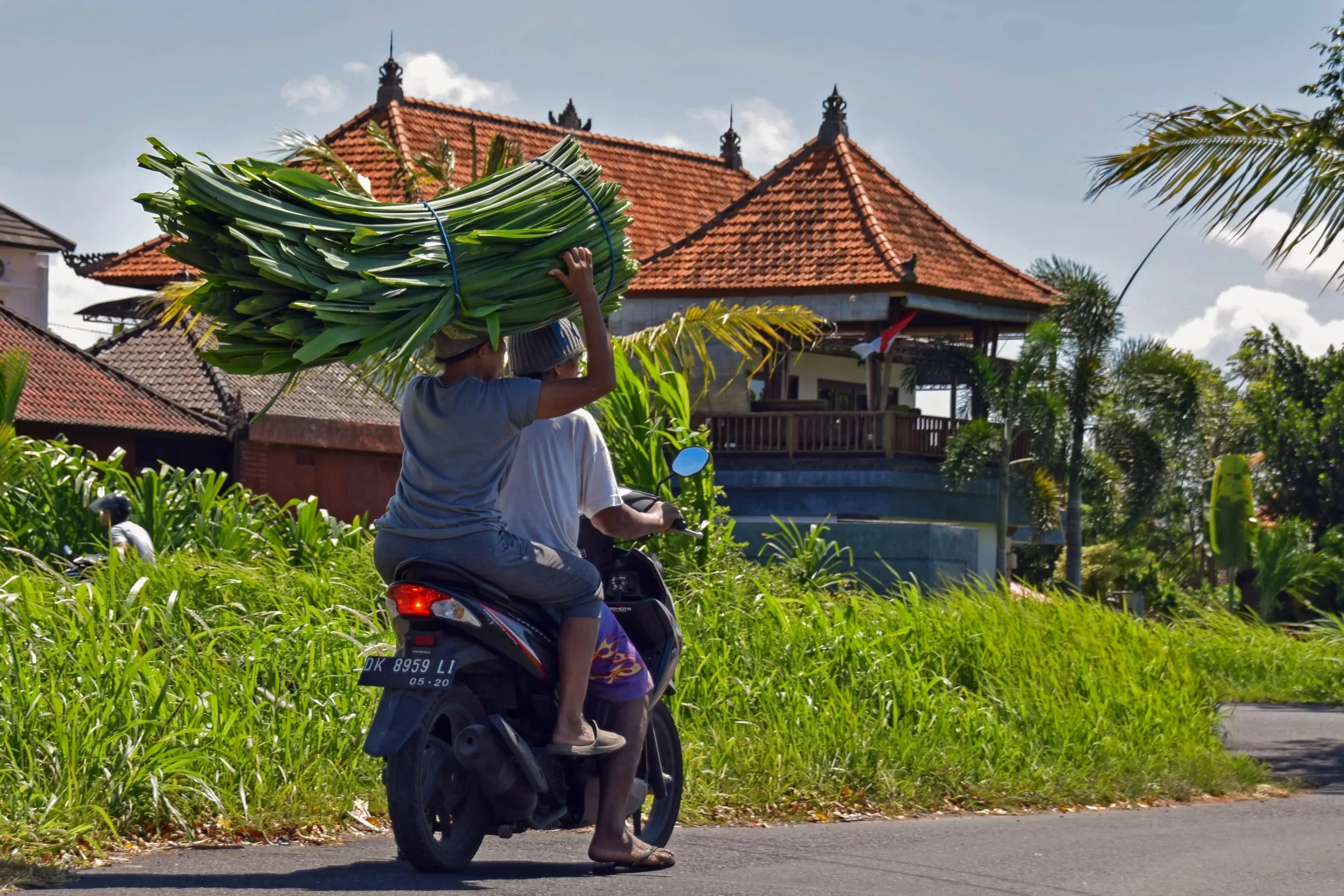 Какой тип транспорта выбрать туристам на Бали